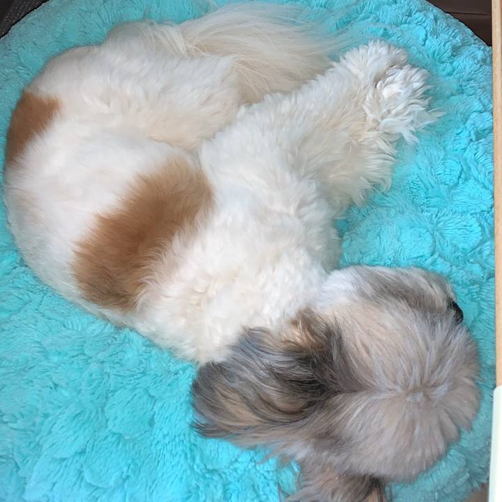 Cf6e2dff 8056 4396 946c 74b95d00e436 1593836776501