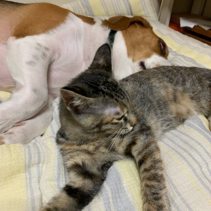 Cf6e884b dfdb 4872 b9fa 04effb6b70b8 1594288709264