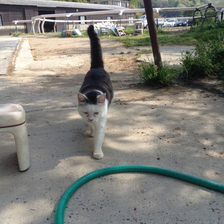 Cf6e9b45 471b 4920 ba64 748ac4426c37 1525004194843