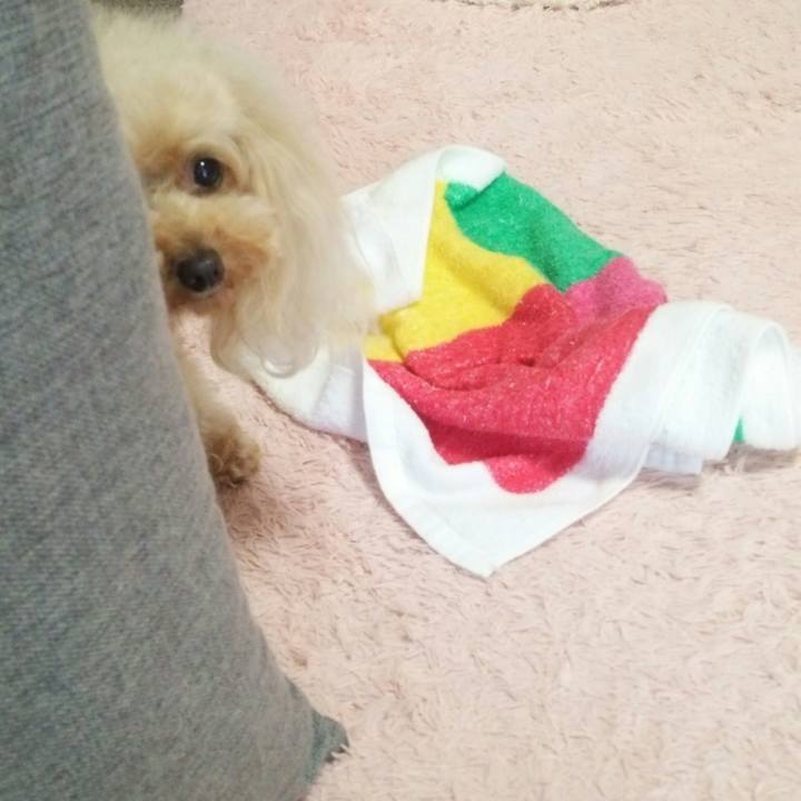 Cf6eb461 3674 46ae a34f c25de1c3011b 1561985833149