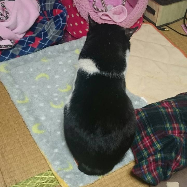 Cf6eeb5e 498a 4fad 96fb 5e2b3fbe04b0 1518047676512