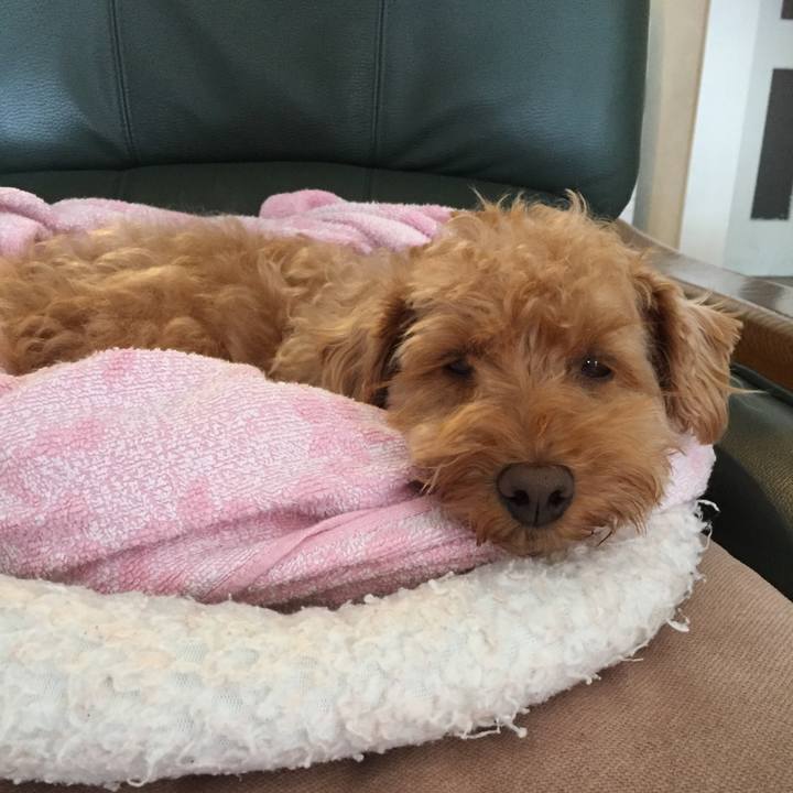 Cf6f0726 0597 47f9 a79a 9f57435db99d 1521763718075