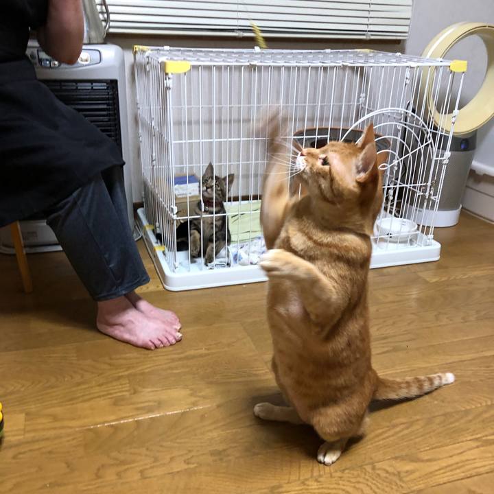 Cf6f0f54 57ee 4448 9edf dcb0d61fe64d 1725876331088