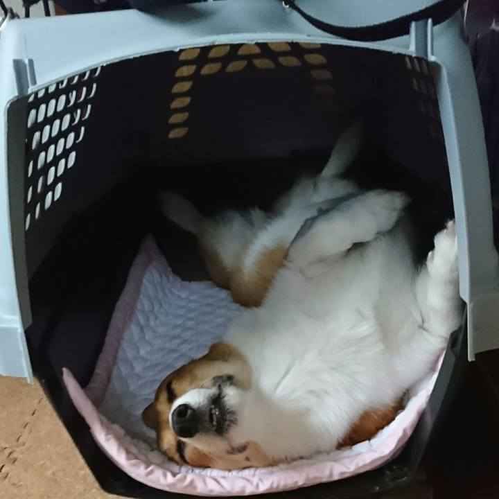 Cf6f5c4f 2614 4e4b b15a 26f5bf116a3a 1526196038405