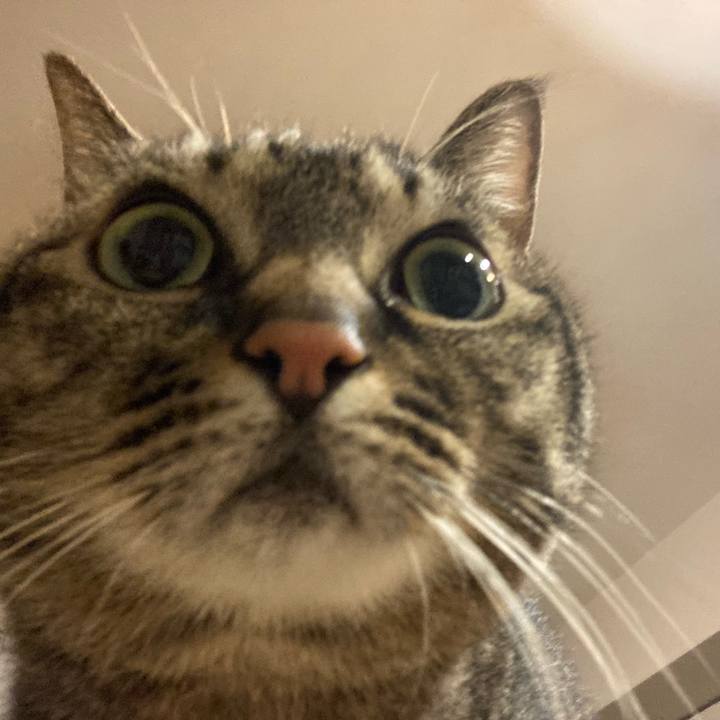 Cf6f6062 9232 4e06 adcb 1e387e4a352c 1674823930251