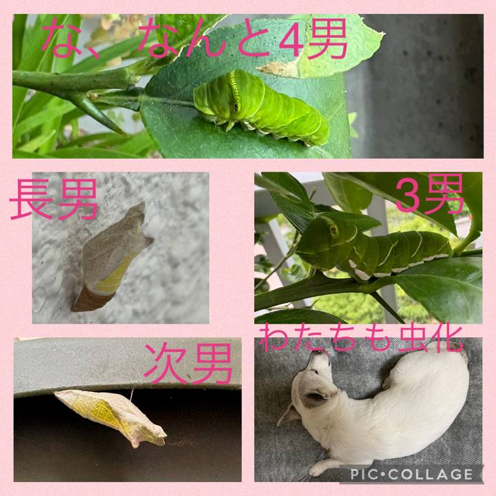 Cf6f837e af2b 4f7c a8fa 6b56c5504900 1752276733381