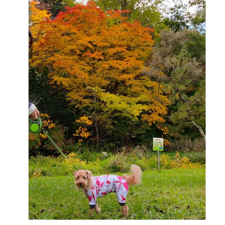 Cf6f9bc6 1009 4b5d bccc d5571518f5d7 1603626077046