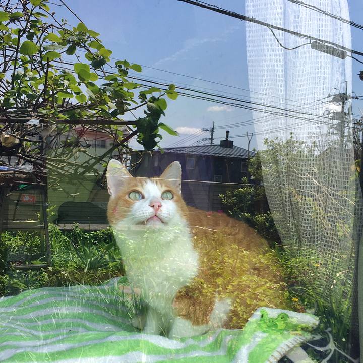 Cf6fb0c4 a004 4694 a909 47cee2c9c613 1620284779486