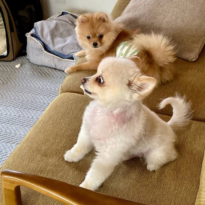 Cf6fb282 09f9 4326 b2e0 733d260a81ac 1645403921347