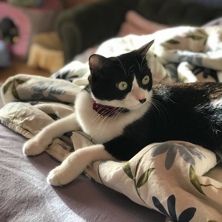 Cf6fd94b ff37 4148 a48e d20fa840661f 1548601497003