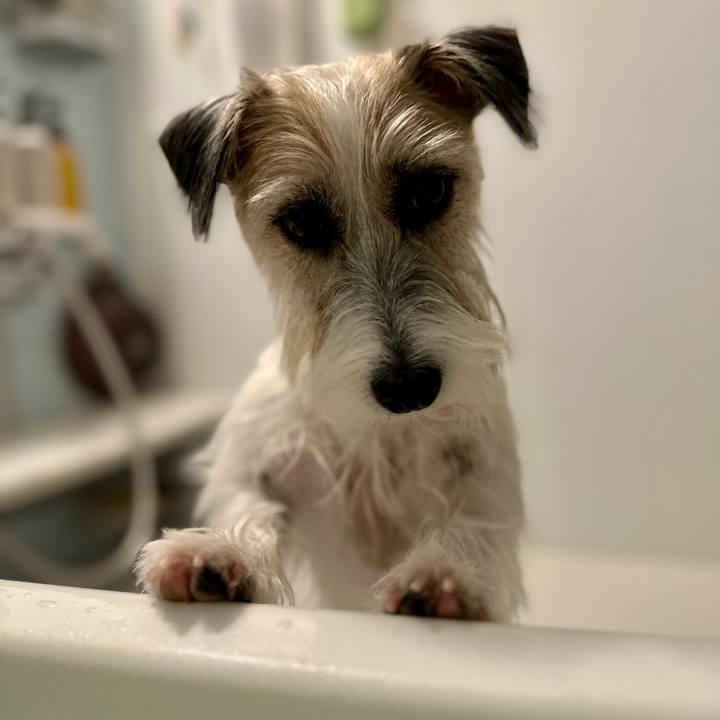 Cf6fe9a6 8b76 4f6b 9274 8010becc1d7e 1697947095097