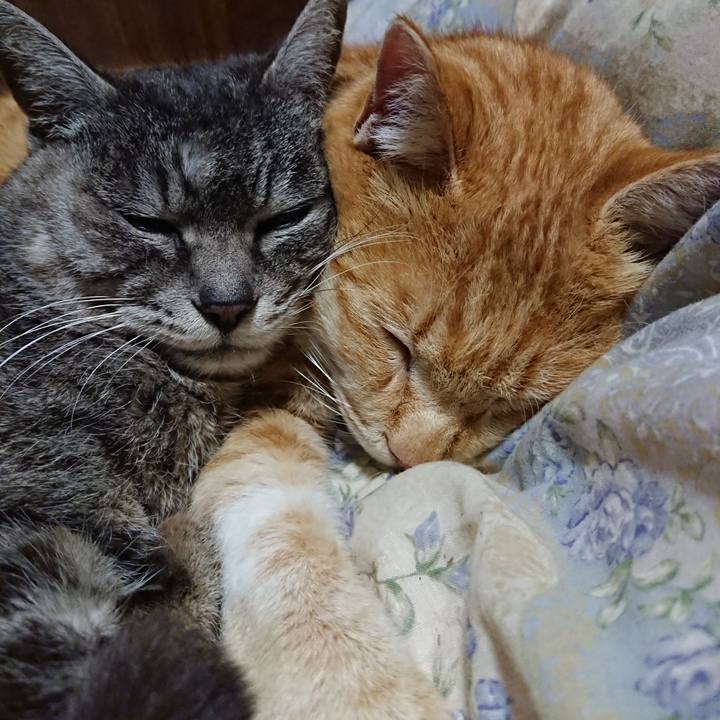 Cf6ffdc4 2276 4362 a8dc 06084be18cad 1582031063043