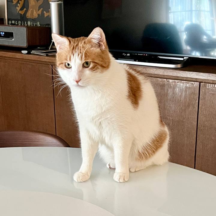 Cf70051b 66f7 4dc5 97d1 a895a191f688 1766886685524