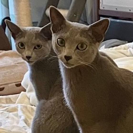 Cf700628 7434 4944 ad5a c292de7cf956 1622112720208