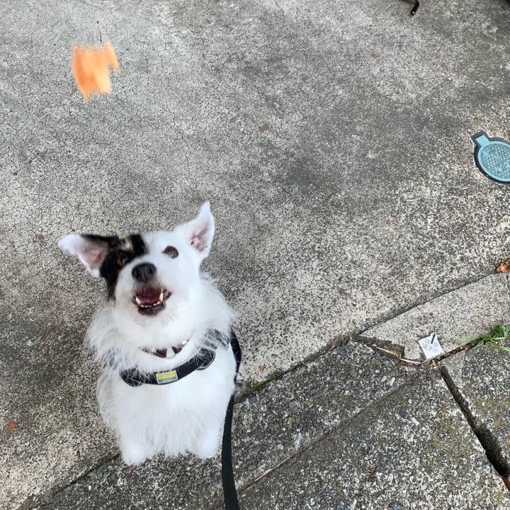 Cf700a9f 1190 4f63 b370 91d16c4e4607 1752016902413