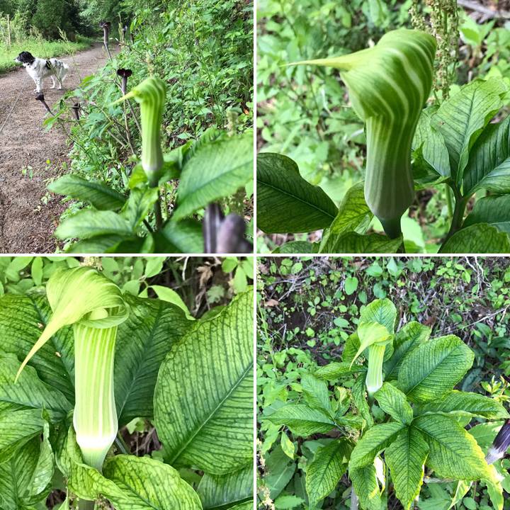 Cf702ed2 a5ce 467f ad63 adb2bc245d35 1540387801234