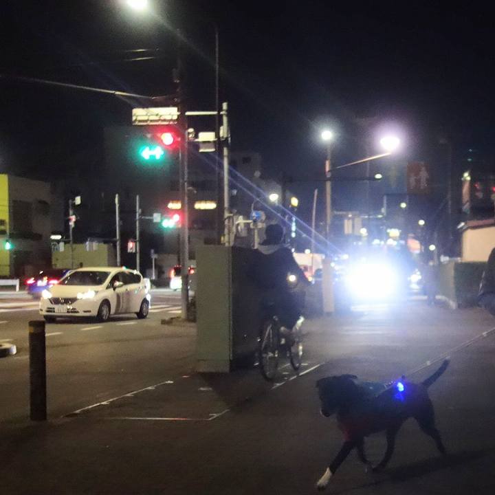 Cf70516a 208e 4733 9bc1 ea082af935c6 1676629914475