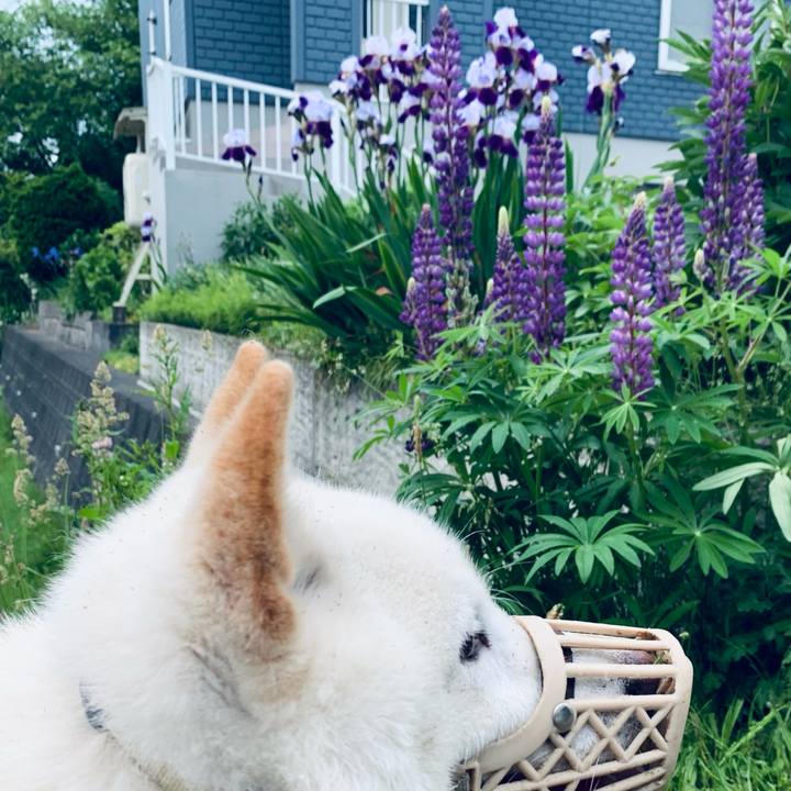 Cf706794 87cc 428b 8a60 e2cd9ddedfb8 1623875758277