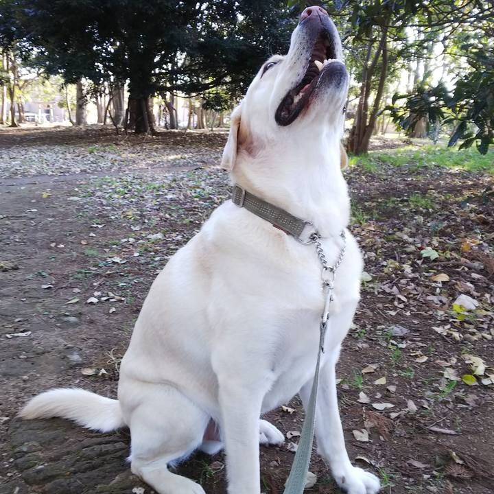 Cf707381 f108 4669 bff3 da8ec10ff271 1574317579158