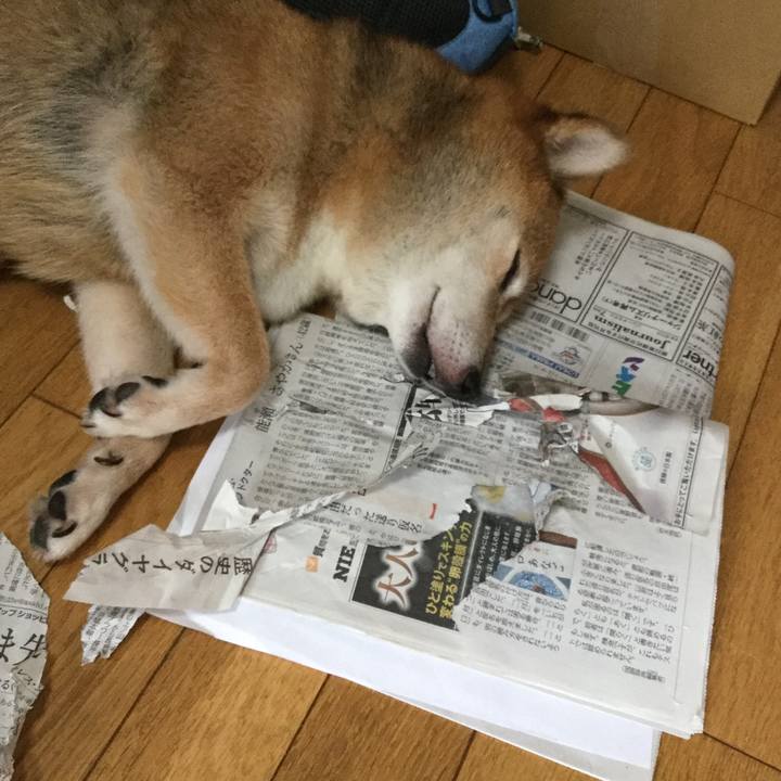 Cf709cf5 68ff 4393 b144 4e16b15cbcec 1625959165856