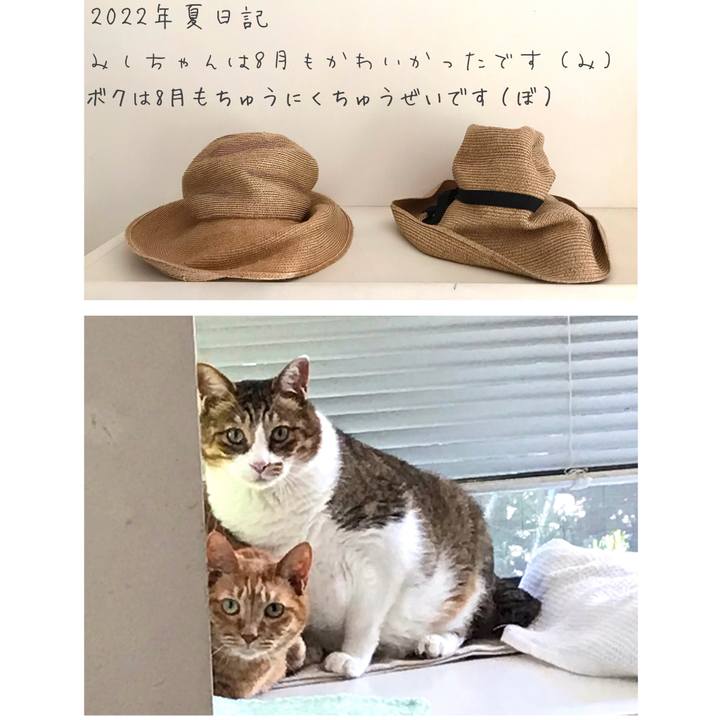 Cf7117f3 f91c 4fa9 a185 d561a4dc895c 1661496711142