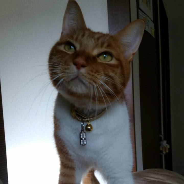 Cf71371e 90b3 4052 b244 70d5d2fa0414 1577800167491