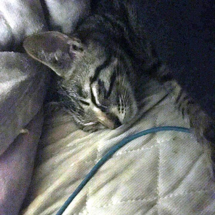 Cf713f89 9761 41ce 83ab 61a778cad37f 1537884209171