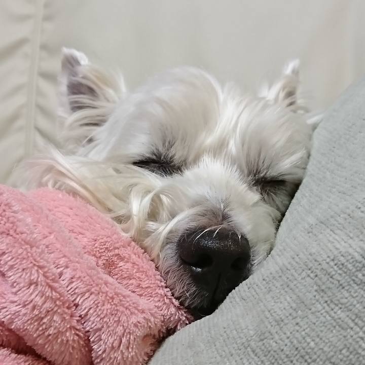 Cf714a2d 6eec 4da1 be02 4cf0a6f3fa07 1549118555515