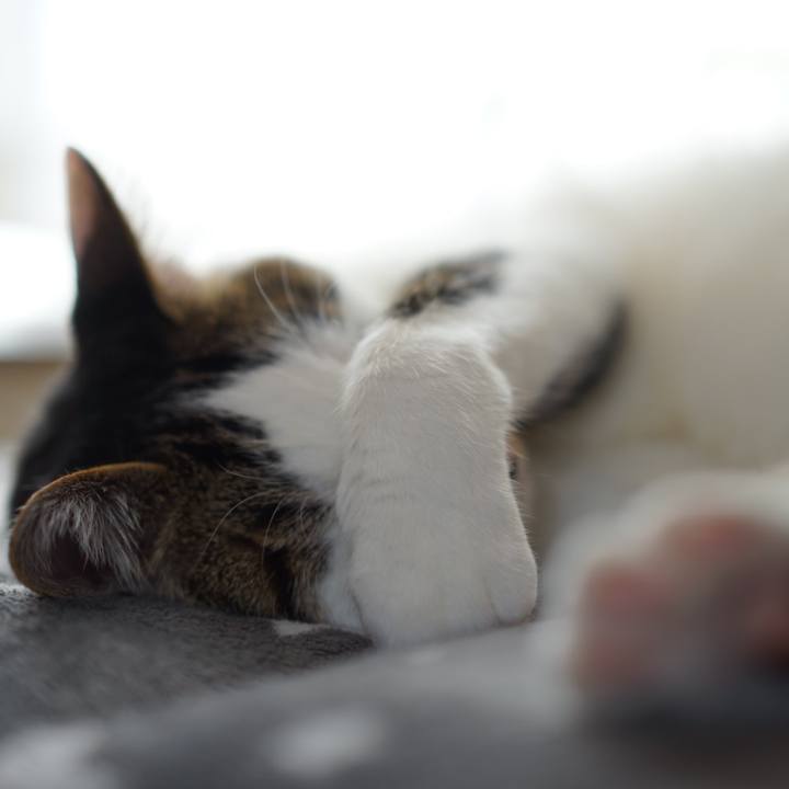 Cf716a4d bf0c 49df 9301 528d1b770b1b 1555890569808