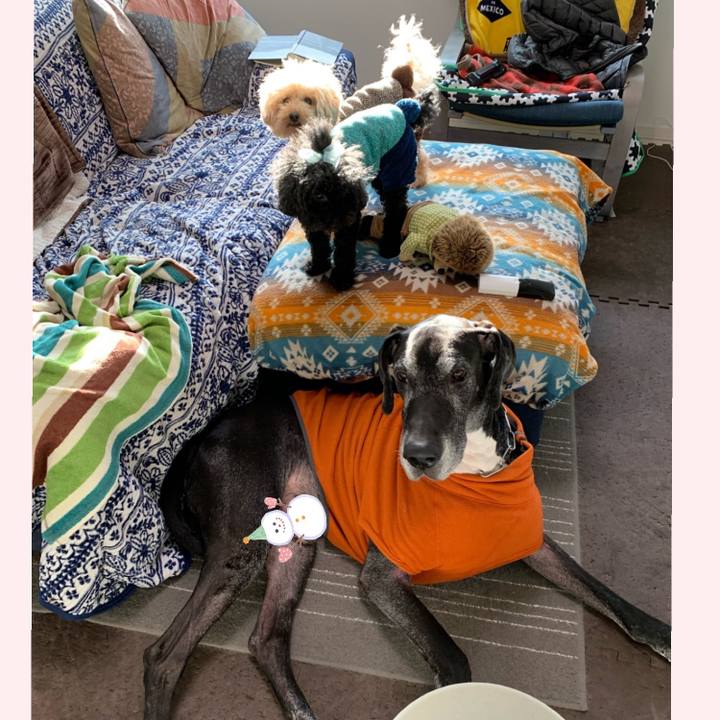 Cf71bfc2 0b1a 4dab aa41 8e7b3c227617 1576710982362