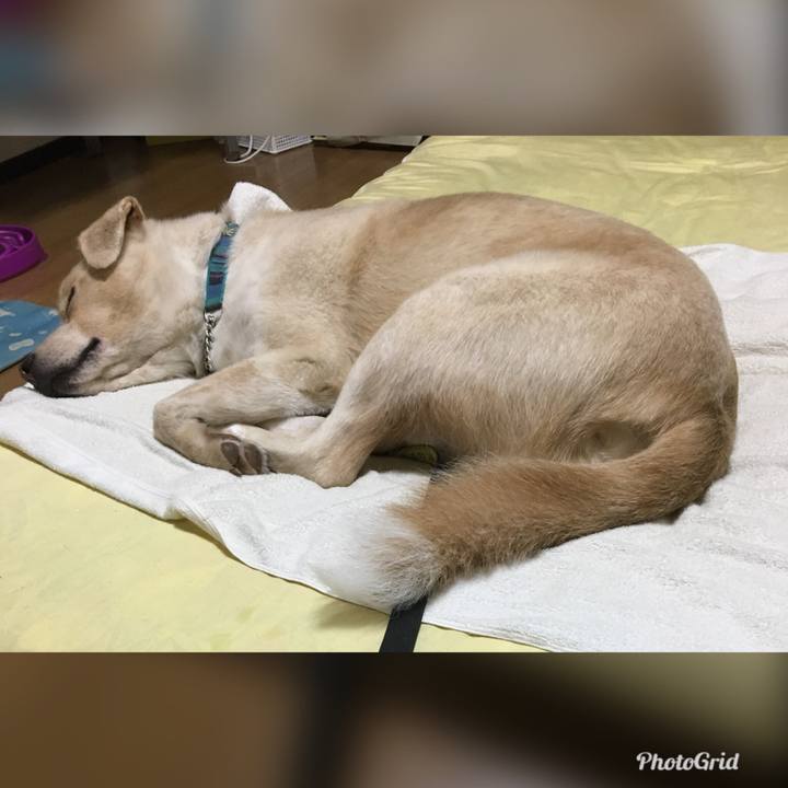 Cf71c71d 8e33 4e17 8b9f 2e816b4143d5 1531321294914