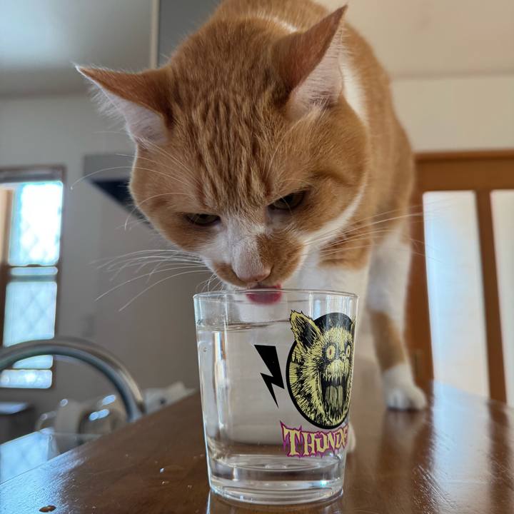 Cf71d7b6 9775 4bea 92e1 0c75d445dd89 1758512424662