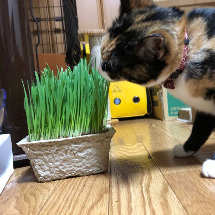 Cf726b4e e134 4435 ad39 b86b45aab1d8 1556969914820