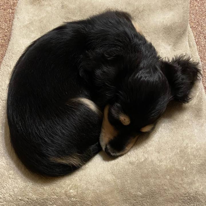 Cf728585 aba8 4ba1 8beb 01b2c282ec81 1665037094065