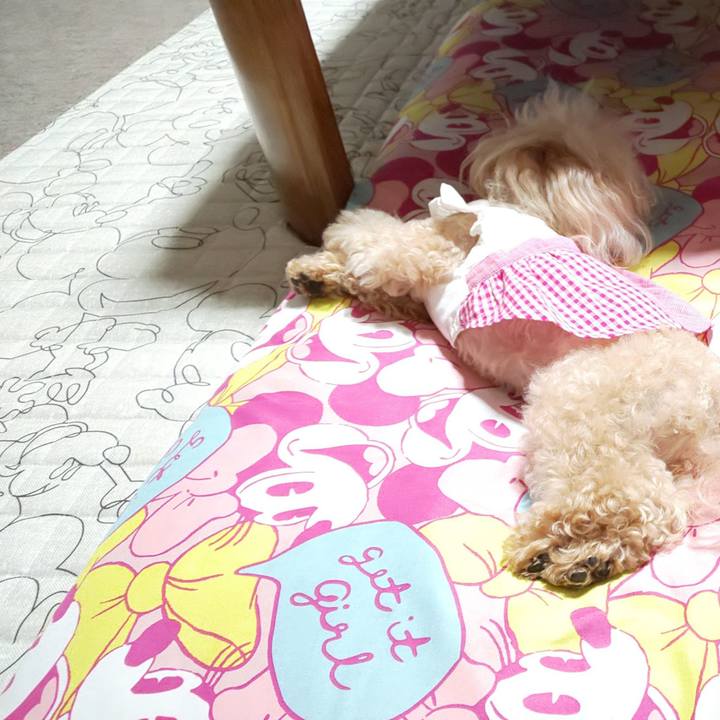 Cf729266 f0ea 4a3c a316 64330f1ec0f4 1568552556661