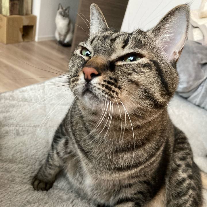 Cf72a0d1 3910 4e07 b91f 159c87746673 1637539421507