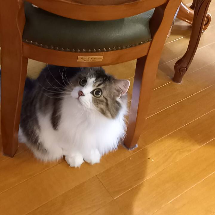 Cf72a85c ecb3 44c0 a488 a49306302e53 1666912134940