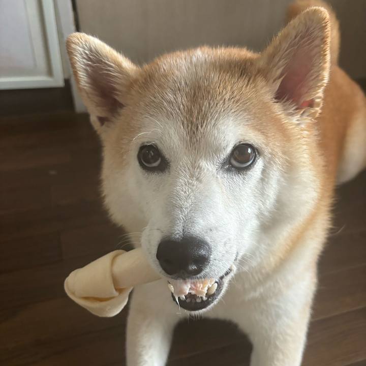 Cf72b6b4 7602 417d b525 fcbc7fca3817 1732049459666