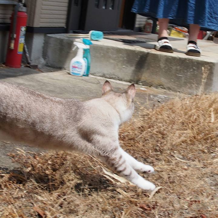 Cf72be57 88ae 4d5e 8d3a d67c2c298041 1533445707210