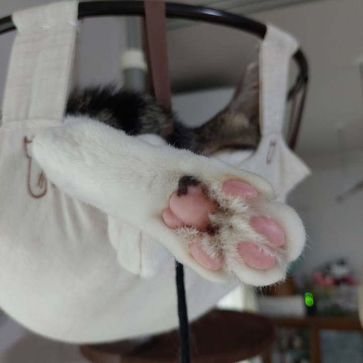 Cf72d58a c91e 400e 9426 b9b29a30ccee 1633383664823