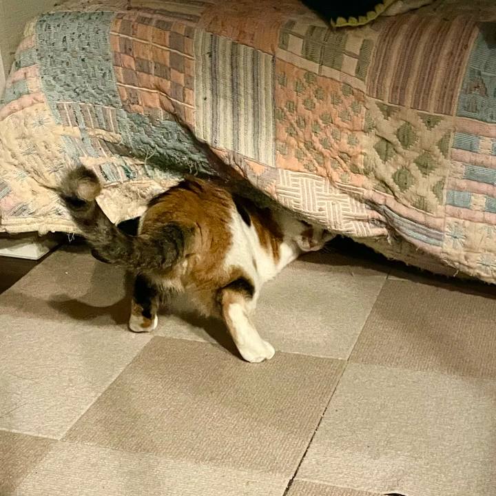 Cf72f007 6505 49ad 8f5e 82e9f1b05b87 1661348424217