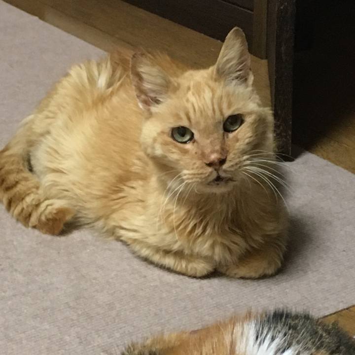 Cf734066 e360 4770 8931 f4d66f860ba8 1610966354437