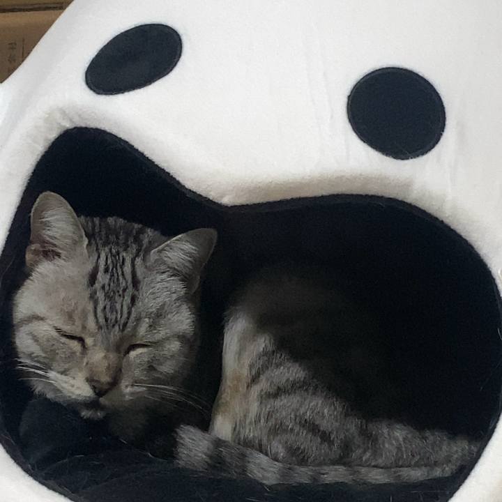 Cf734846 ea91 4bfb a89e 66b47c7891f2 1732536178355