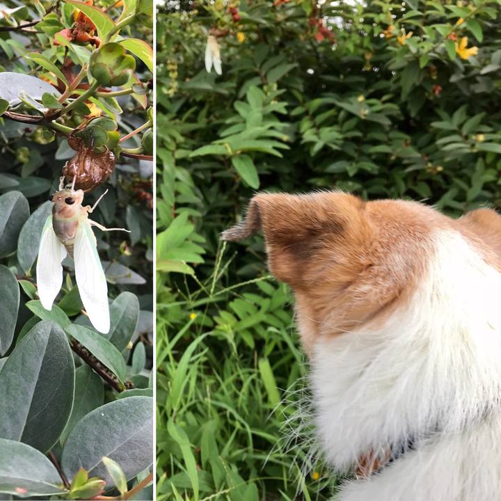 Cf7367b3 7b8f 4aca b77c 26b3c6fadad1 1627984913158