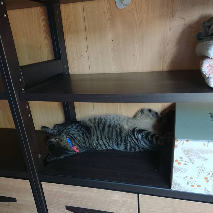 Cf736911 6abf 4d16 90bd a712f10dfd39 1662448903906