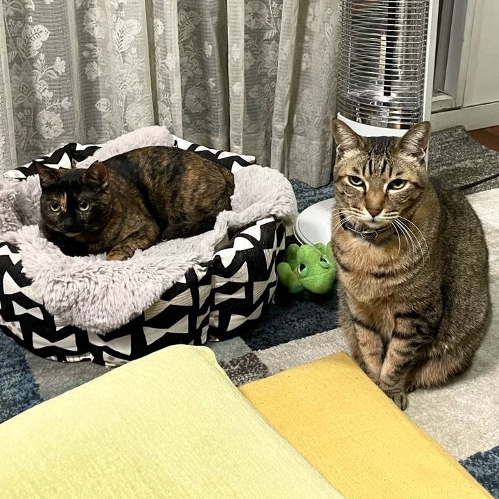 Cf738871 a8e7 4a6c 965c 7e24ac2d0ee5 1736779666193