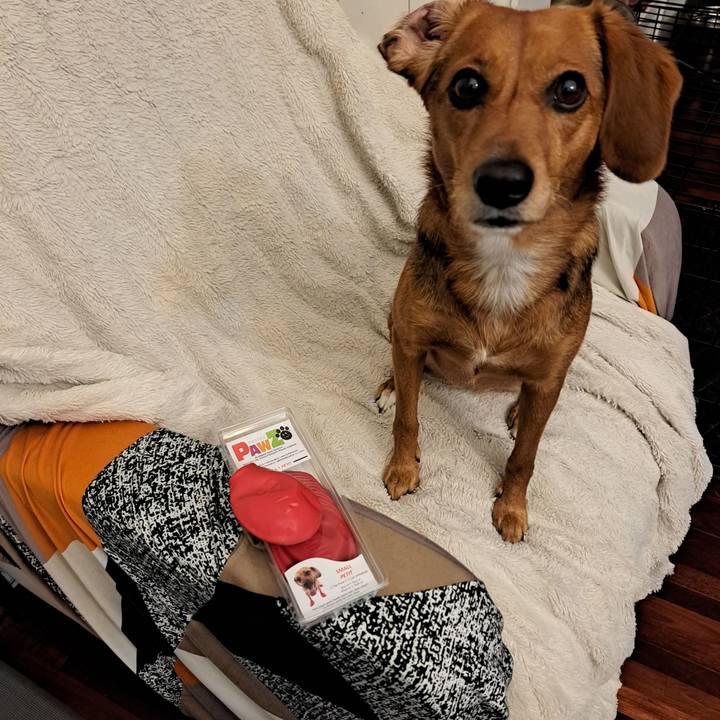 Cf73be26 0ac1 47e9 971b d2c6f780c3af 1762986084459