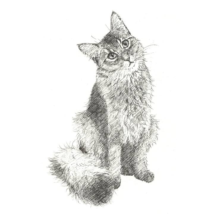 Cf73c834 3b0a 49cd b1bf fef05d0d29c2 1569678232188