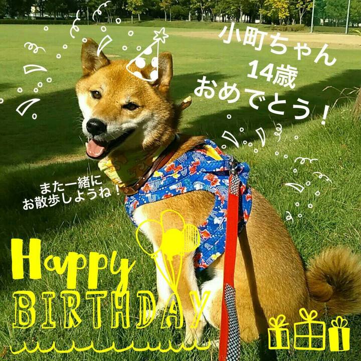 Cf73cfa2 c744 48ad 98a0 d8eaf21d7085 1534987228018