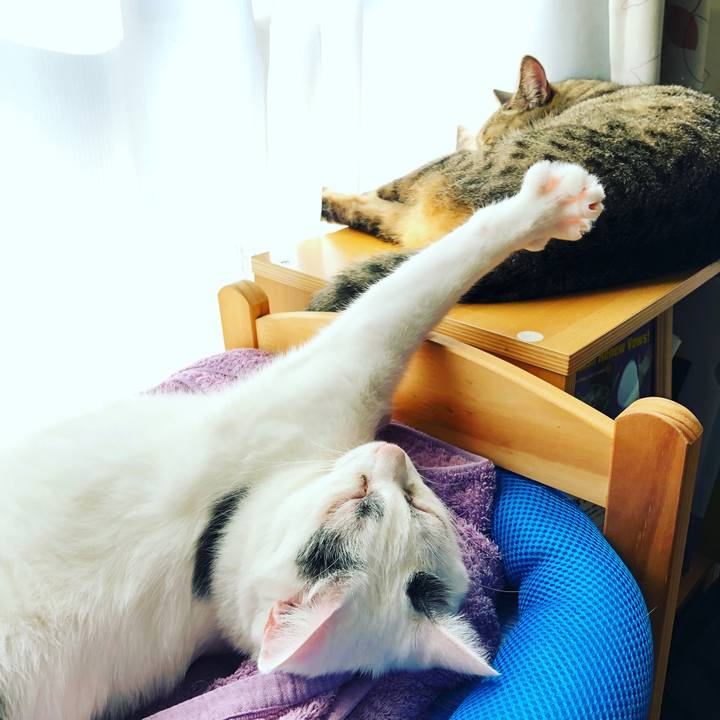 Cf73d046 69ac 4271 92a2 6fa62940fd22 1511076632115